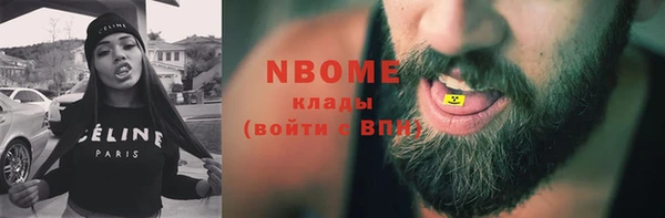 сатива Бородино