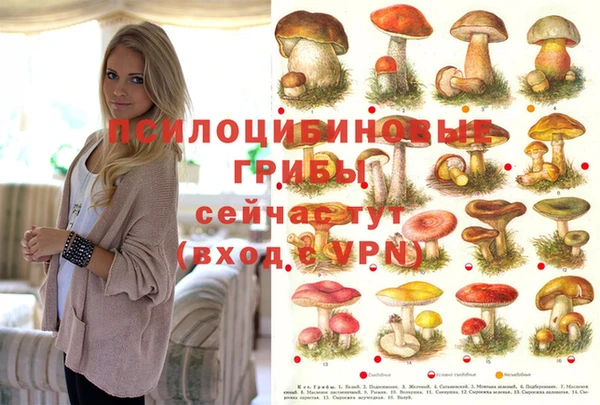синтетический гашиш Богородицк